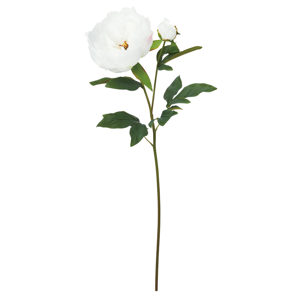 ピオニー×1つぼみ×1