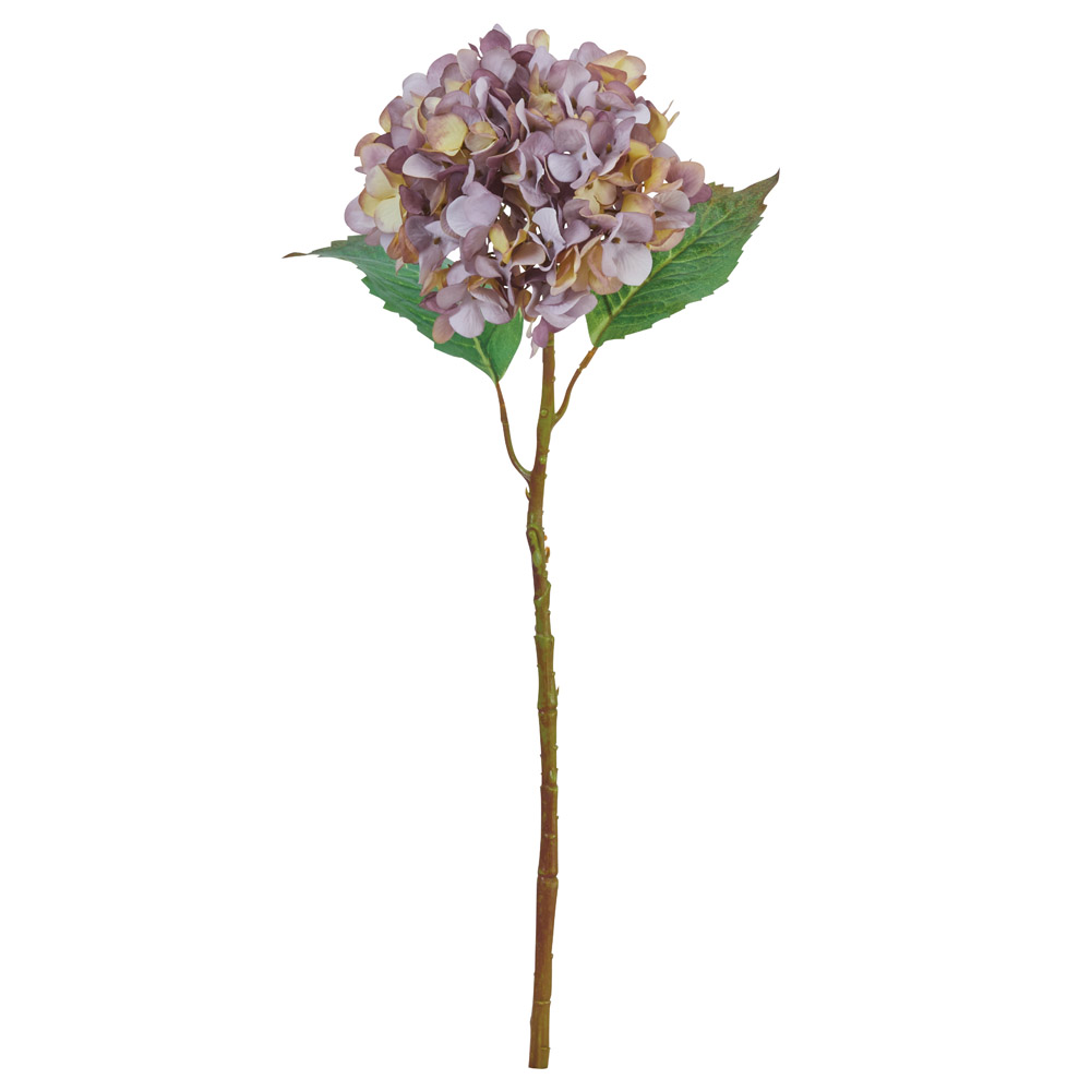 ハイドランジア