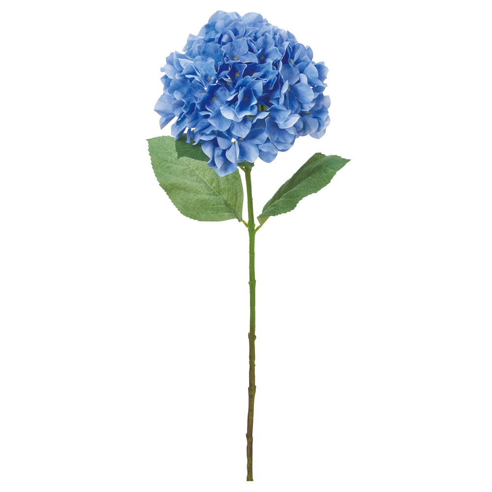 ハイドランジア