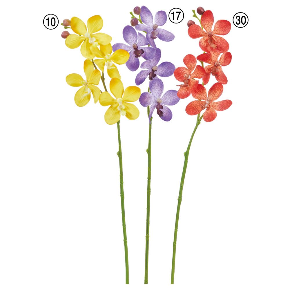 モカラ×4つぼみ×2