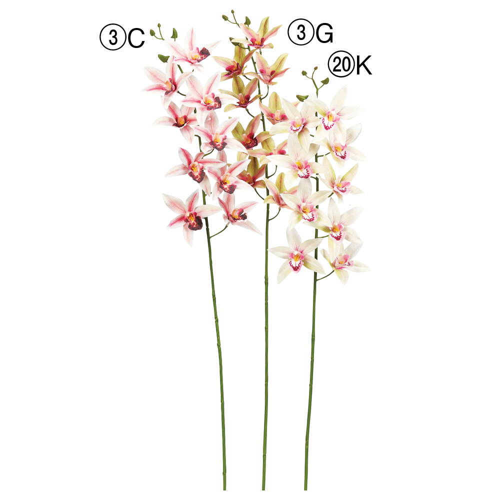 シンビジューム×9つぼみ×4