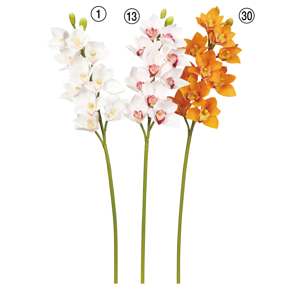 シンビジューム×10つぼみ×2