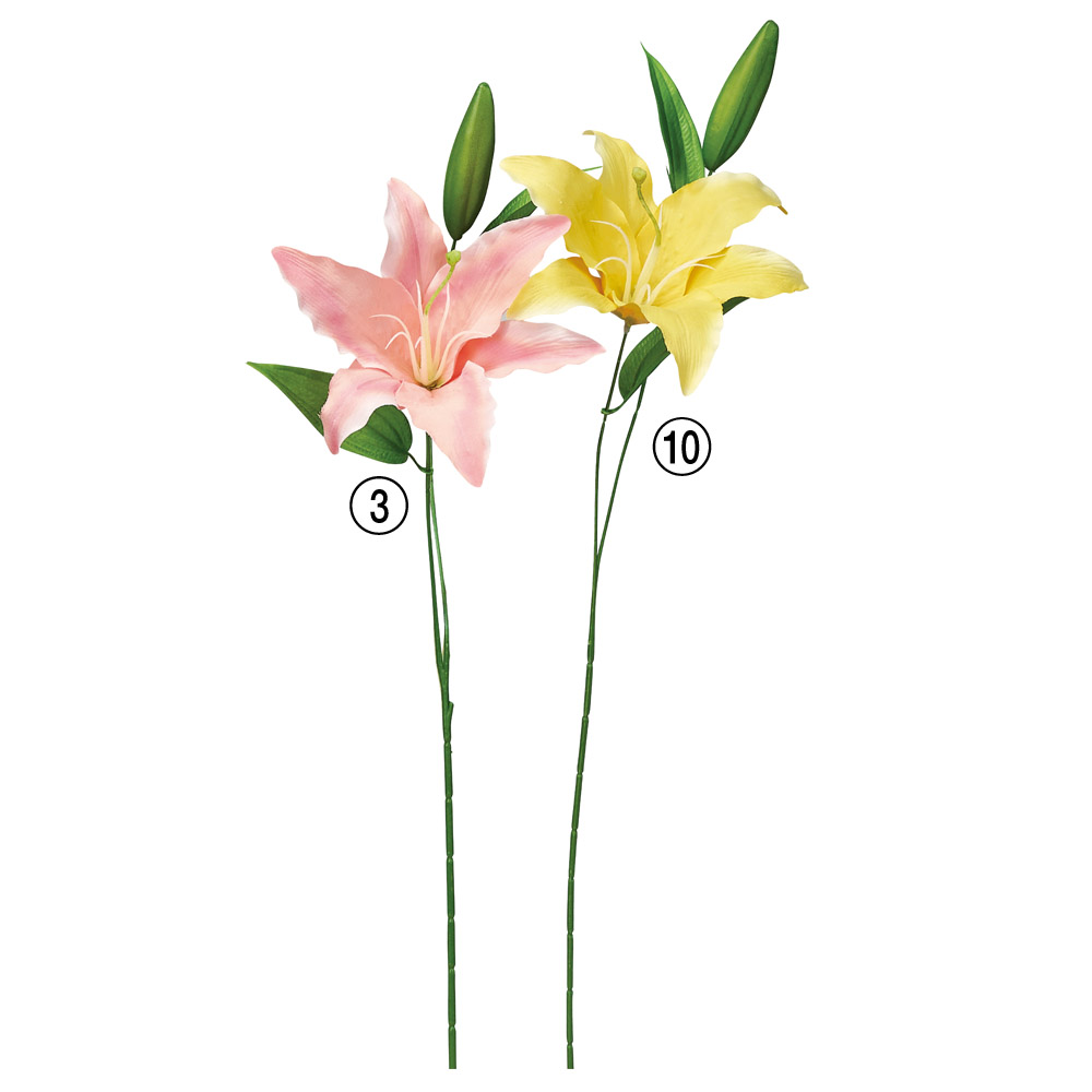 ユリ×1つぼみ×1