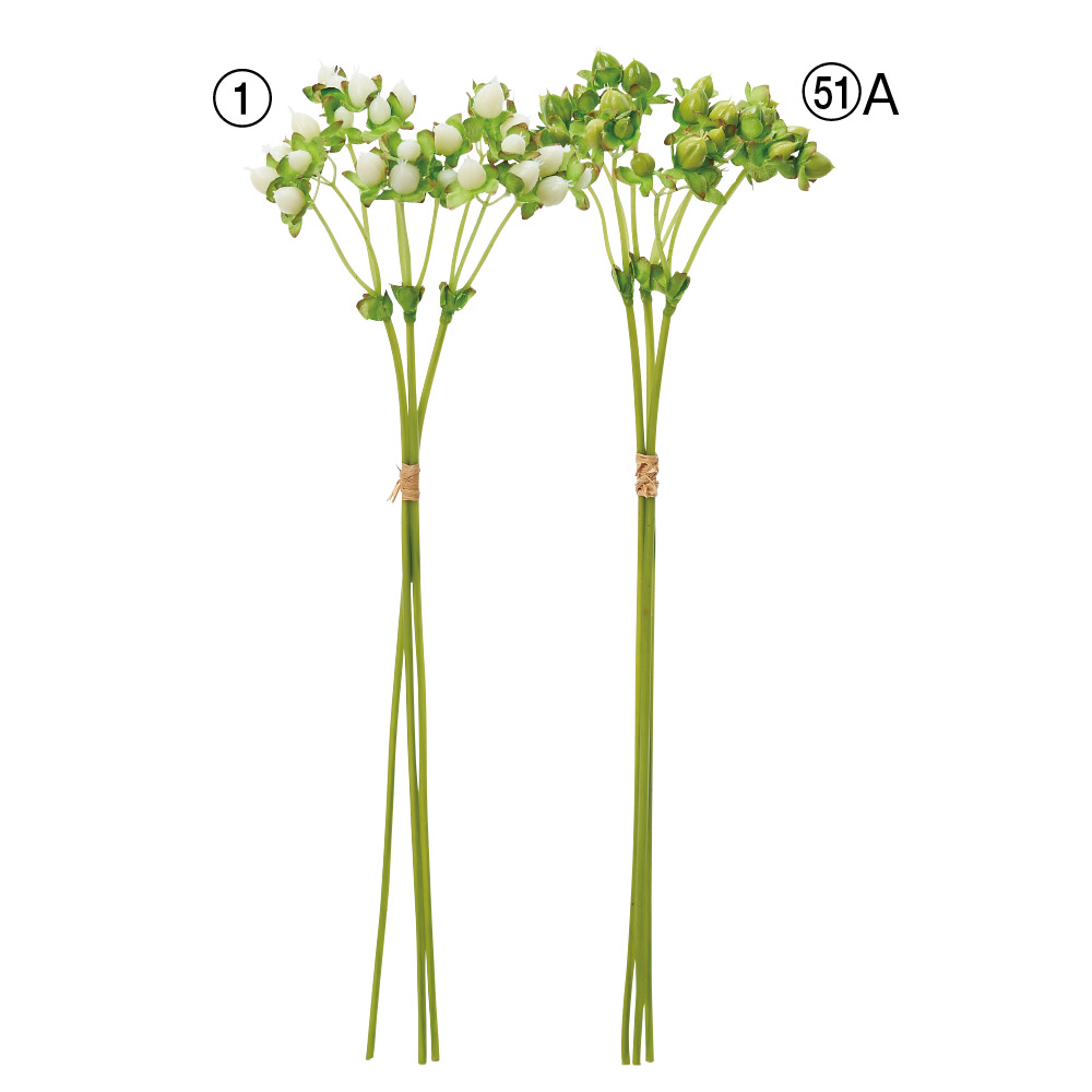 ヒペリカムバンチ（1束3本）