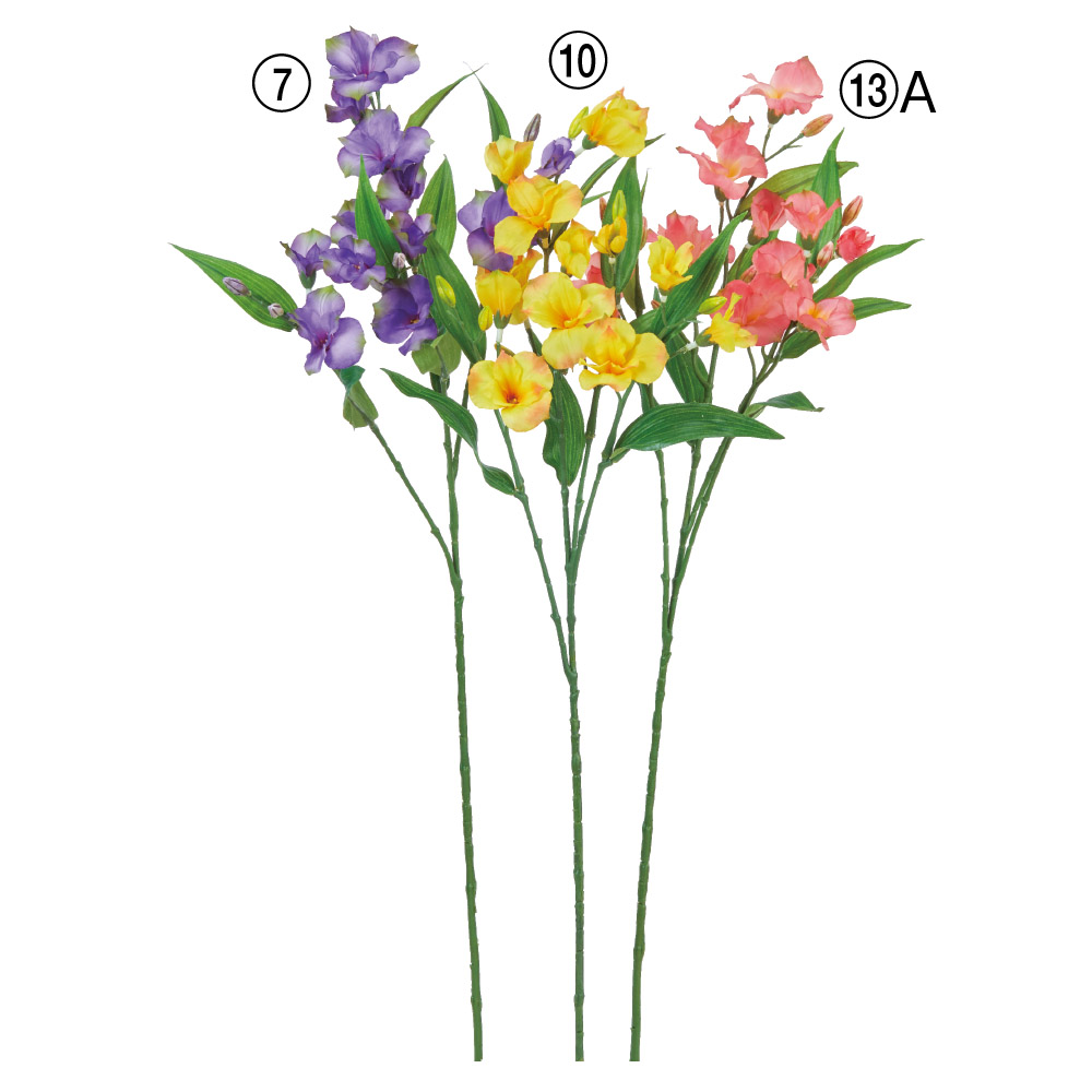 アルストロメリア×11つぼみ×8
