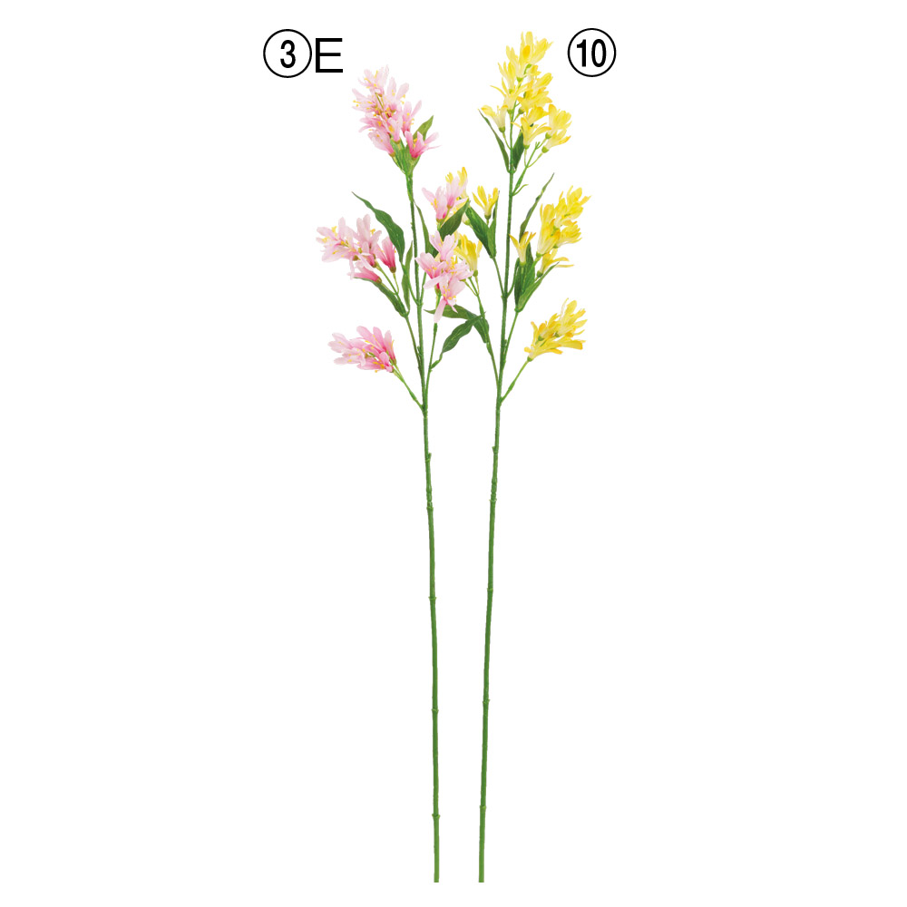 ハニーサックル×36