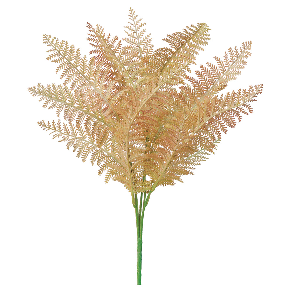 ファーンブッシュ