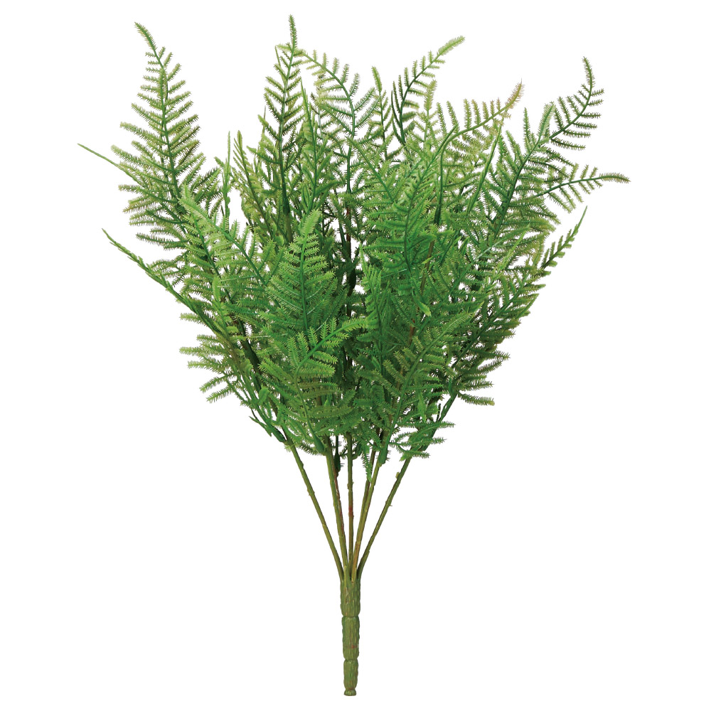 ファーンブッシュ