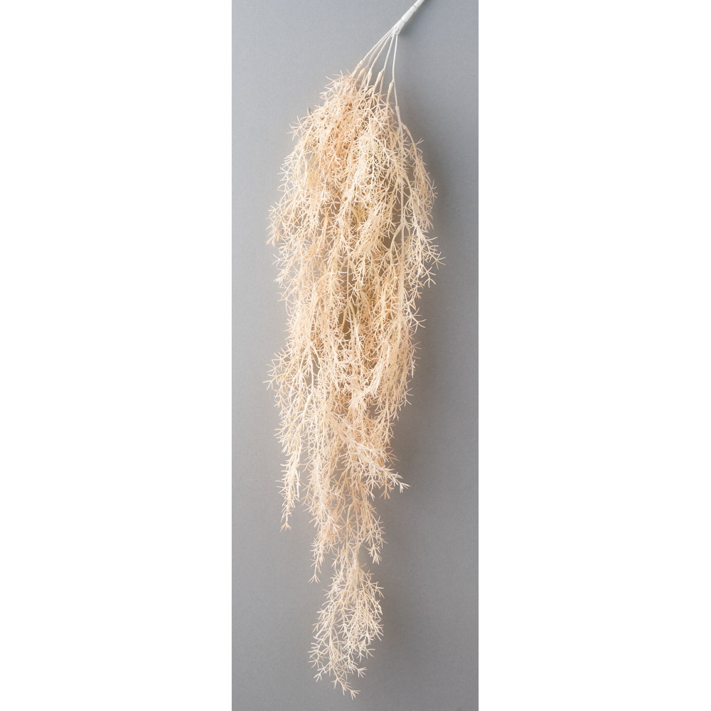 アスパラガスファーンハンギングブッシュ