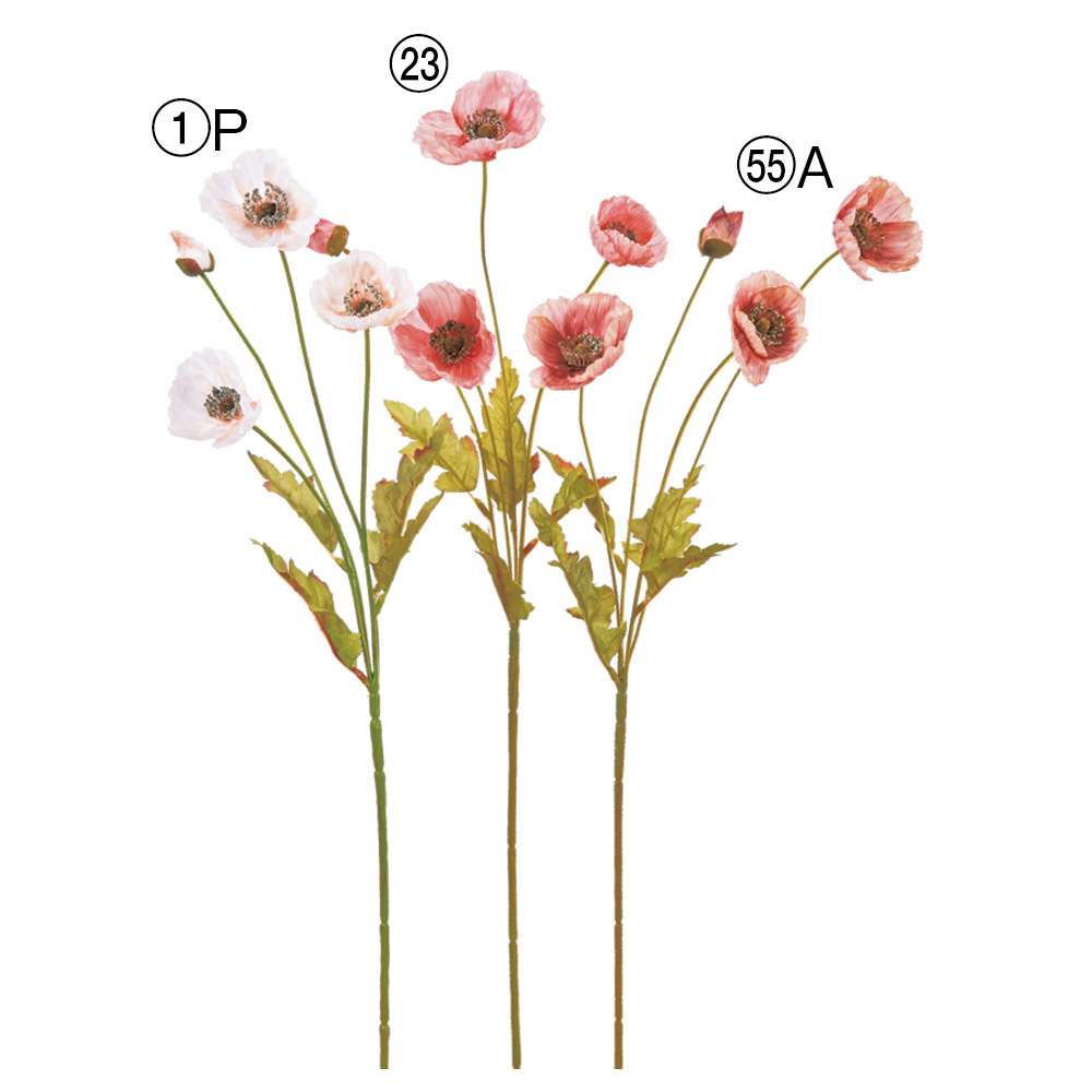 ポピー×3つぼみ×1