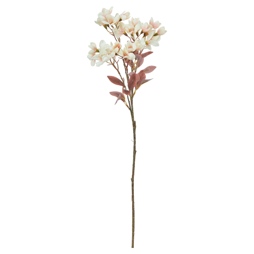 ジャスミンスプレー×30