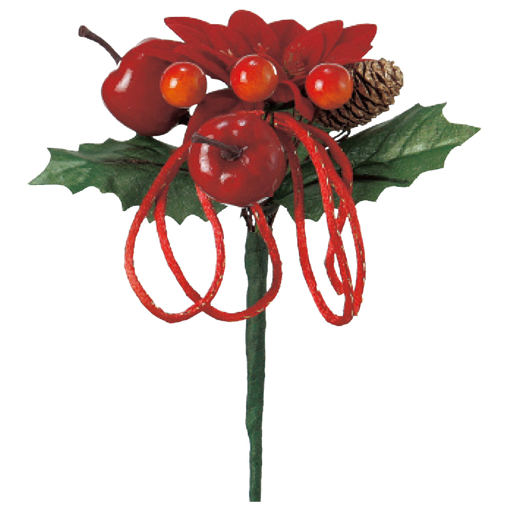 ポインセチアピック 商品案内 株式会社アスカ商会