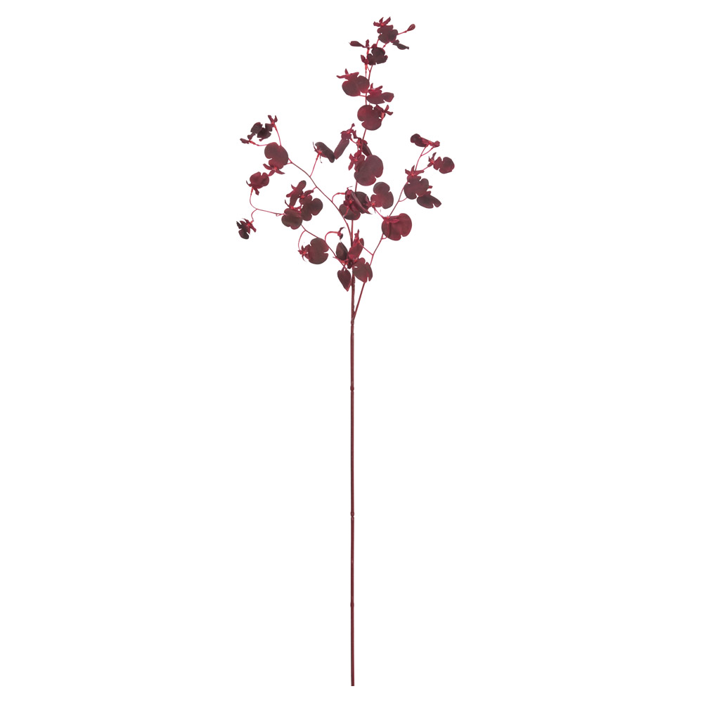 オンシジューム×32