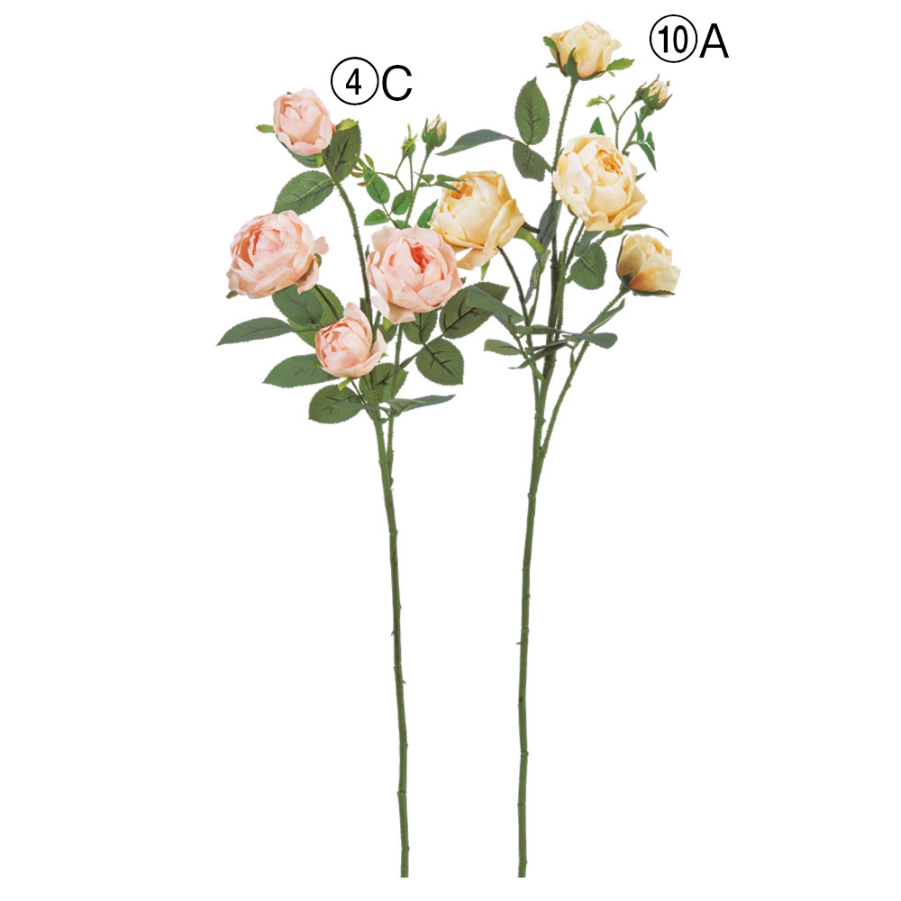 ローズ×4つぼみ×3