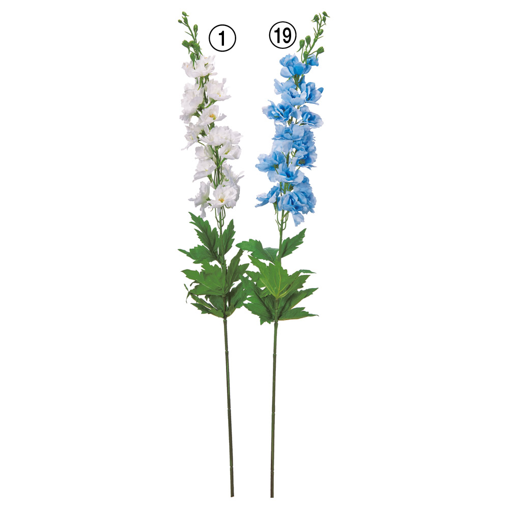 デルフィニウム