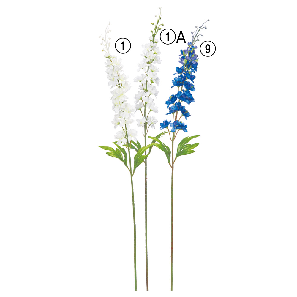 デルフィニウム