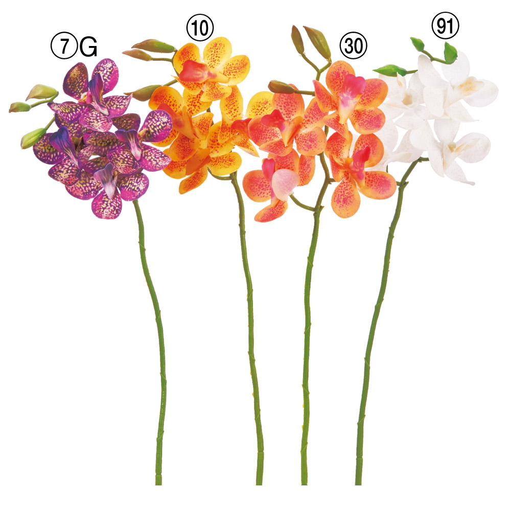 モカラ×4つぼみ×3