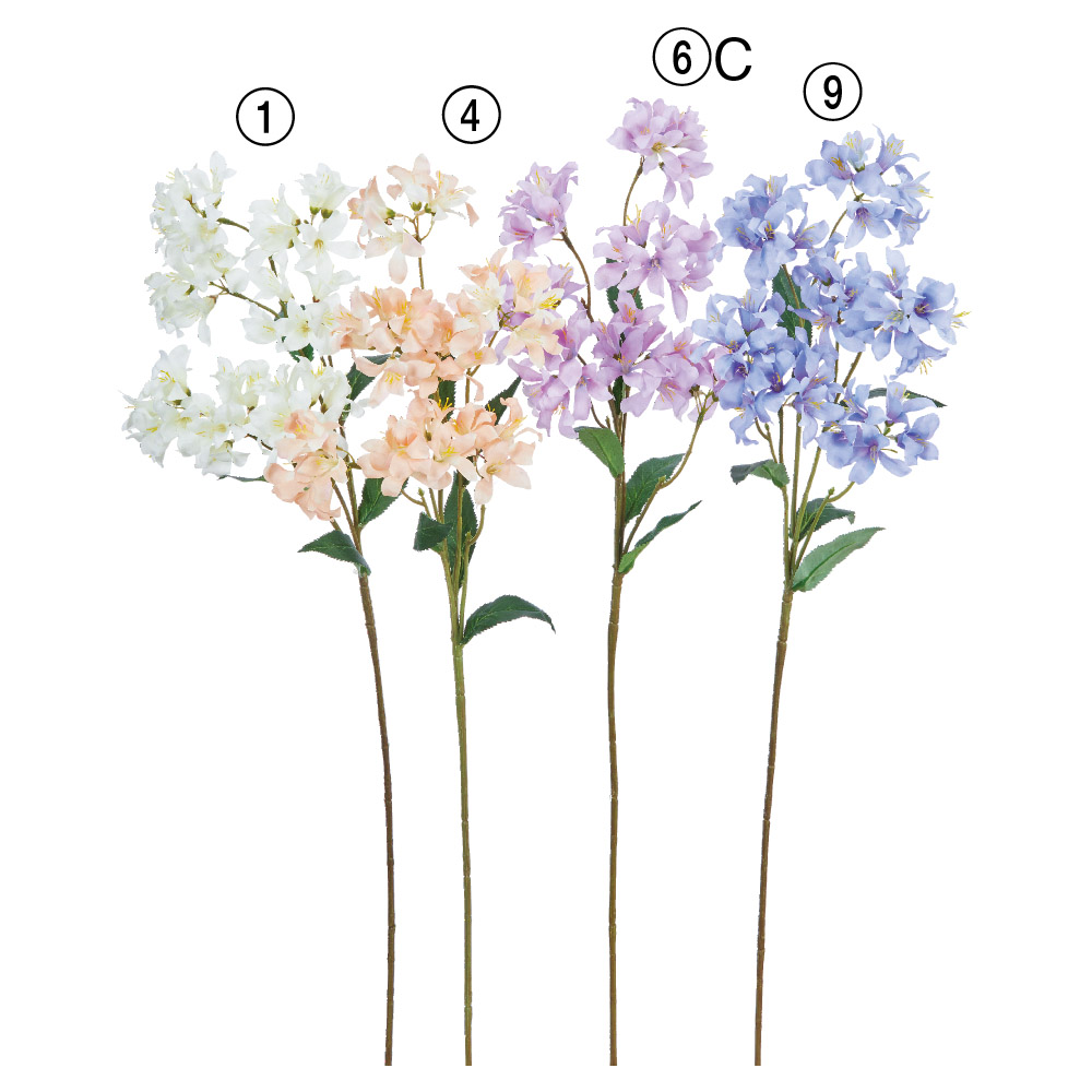 ハニーサックル×42