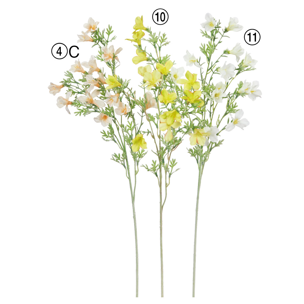 カンパニュラ×15