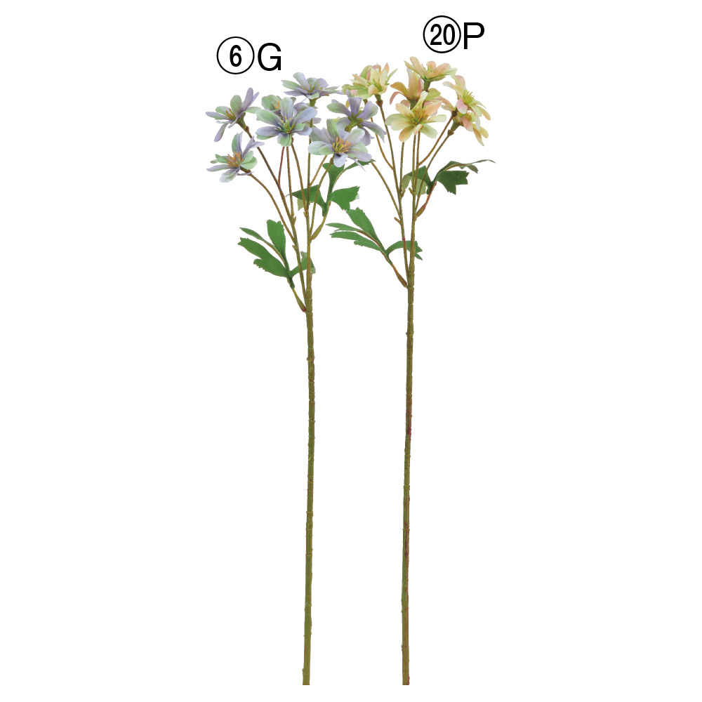 ミニダリアスプレー×8