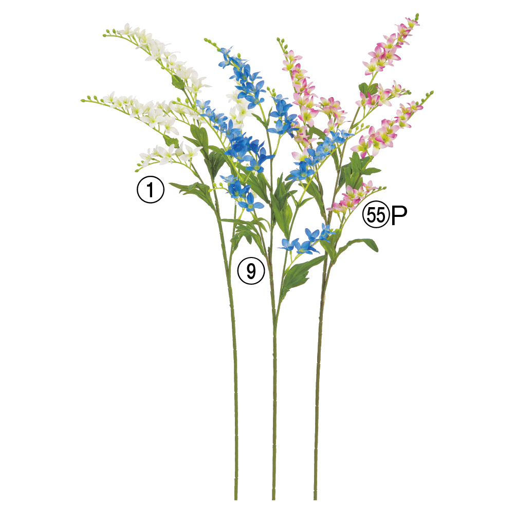 ワイルドフラワー