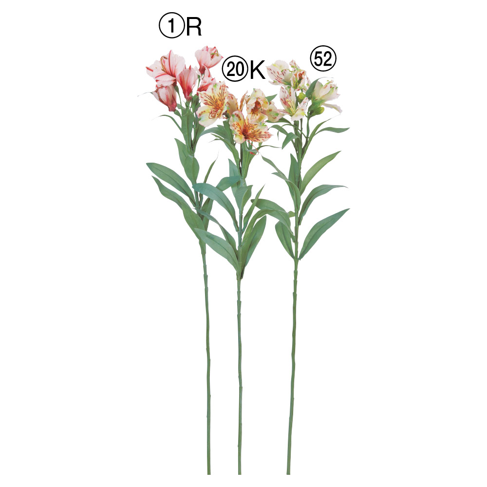 アルストロメリア×5つぼみ×3