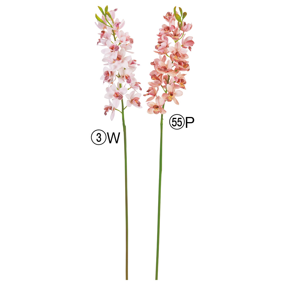 シンビジューム×21つぼみ×4