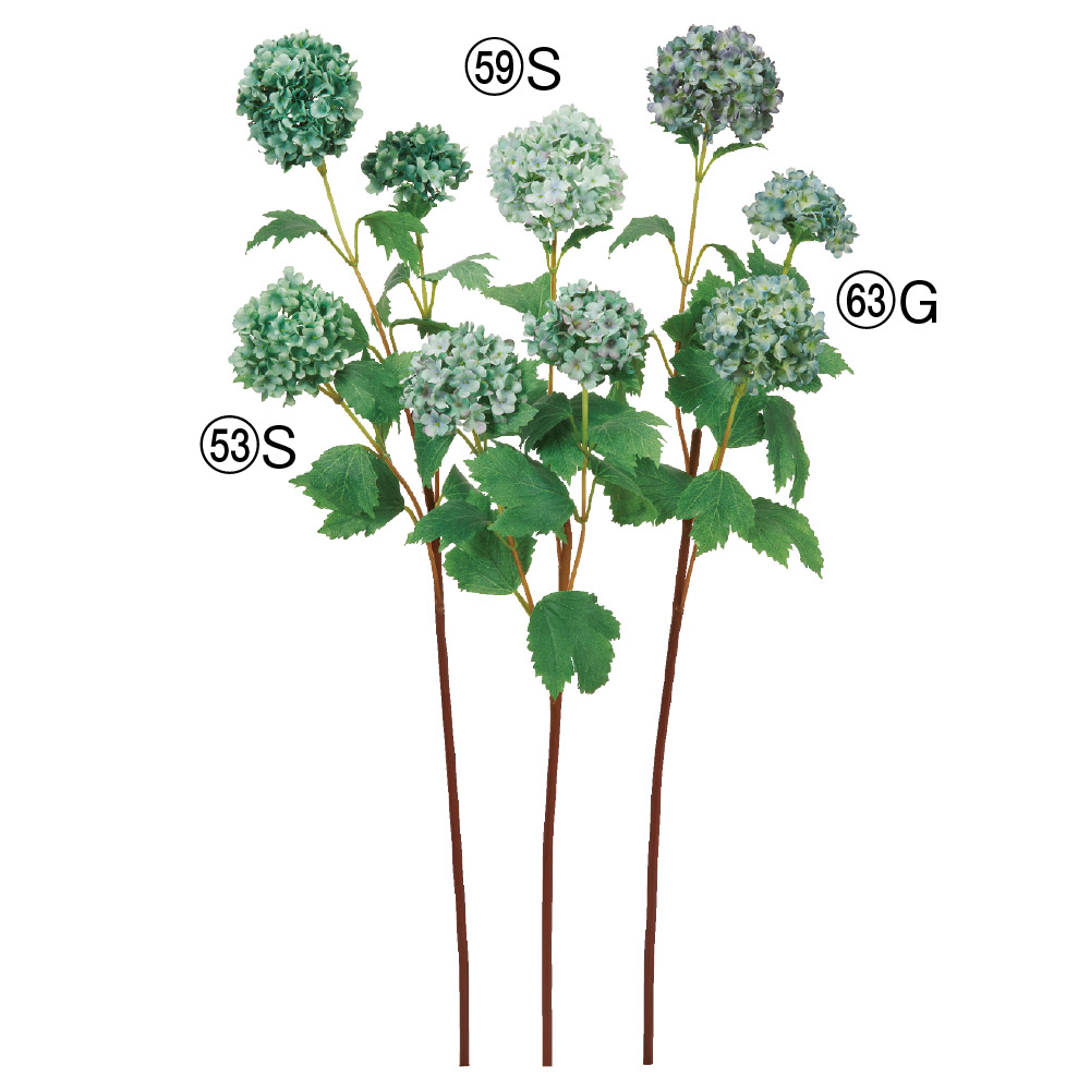 スノーボール×3