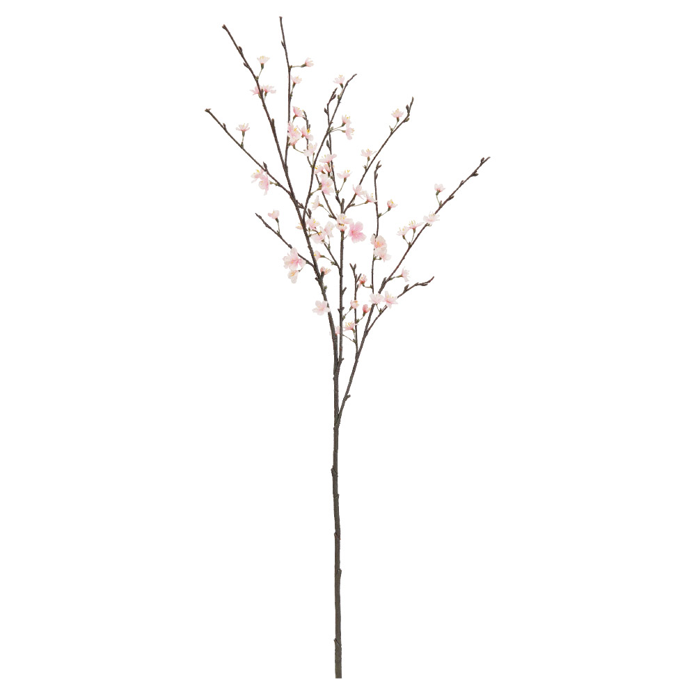 桜×58