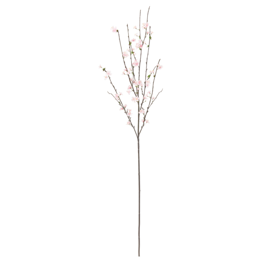 桜×72