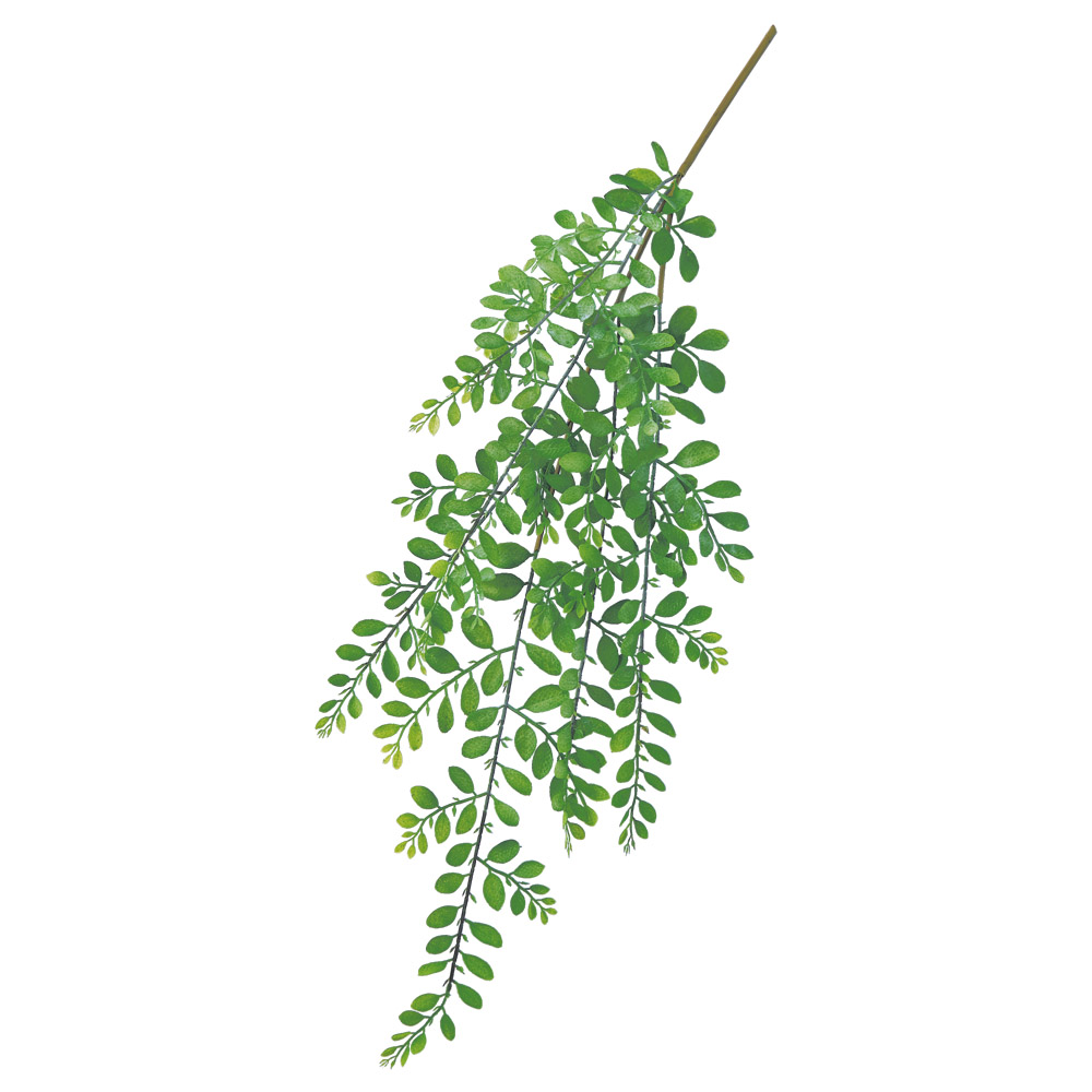 リーフハンギングスプレー