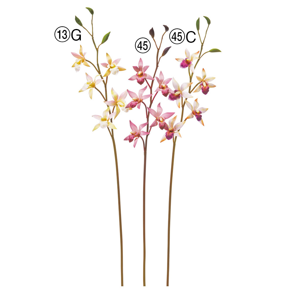 オーキッド×5つぼみ×3