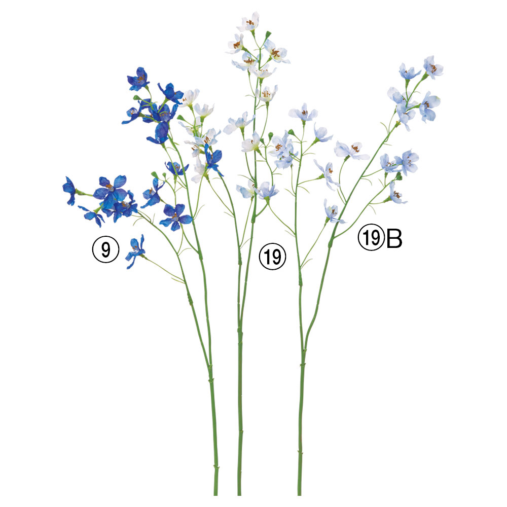 デルフィニウム×15つぼみ×3