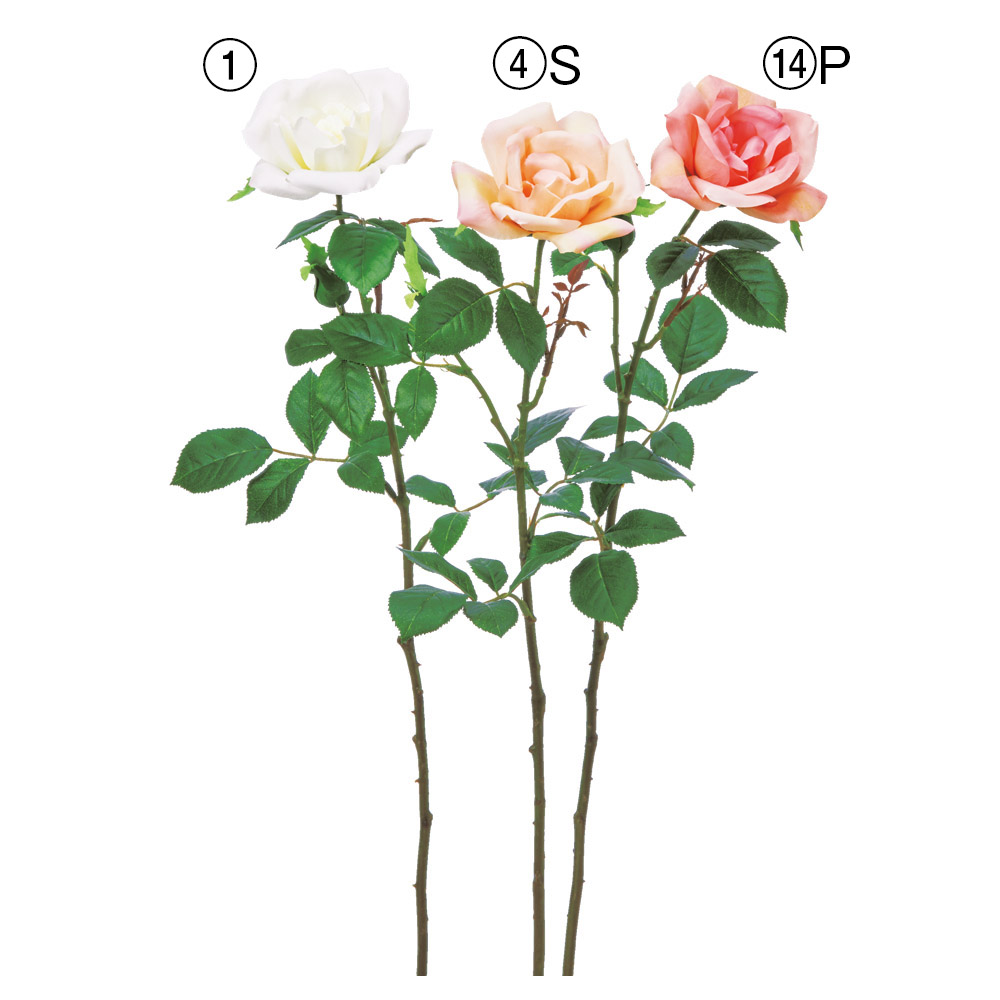 ローズ×1つぼみ×1
