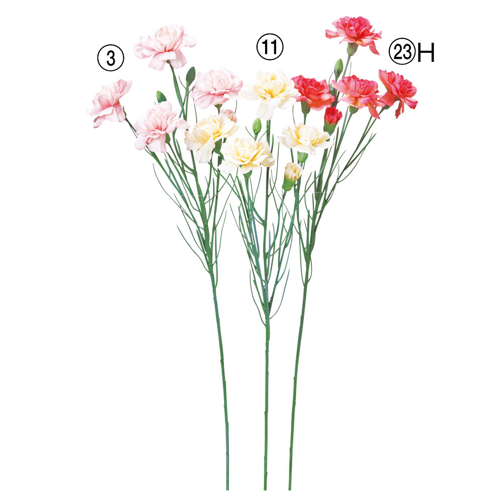 カーネーション×4つぼみ×3