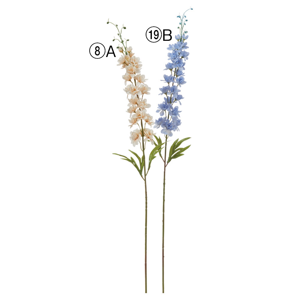 デルフィニウム