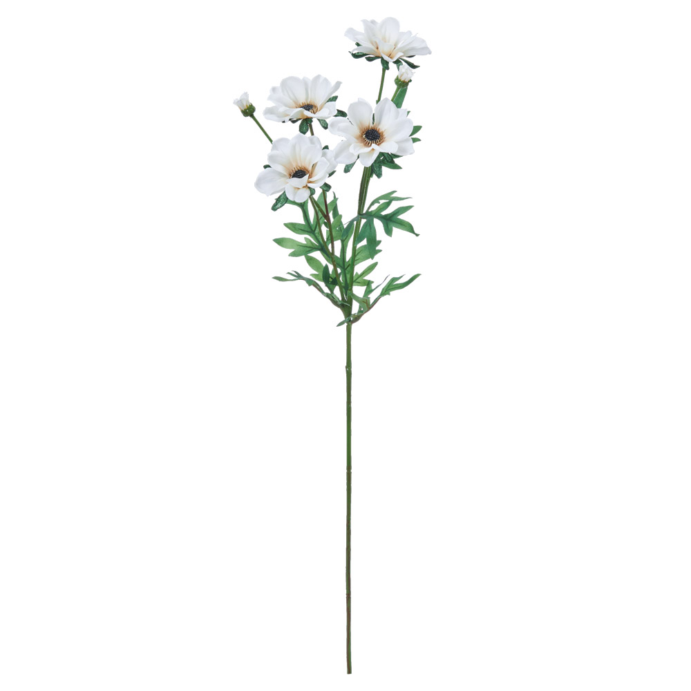 デージー×4つぼみ×2