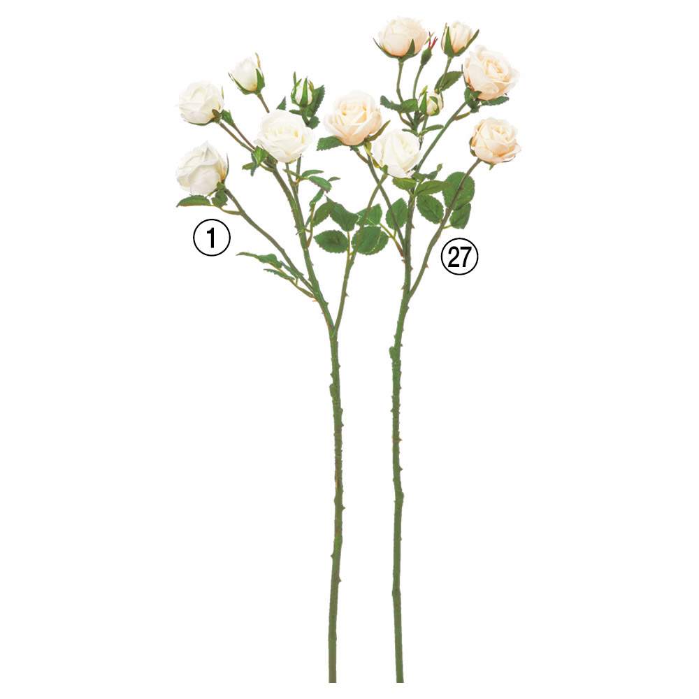 ローズ×5つぼみ×2