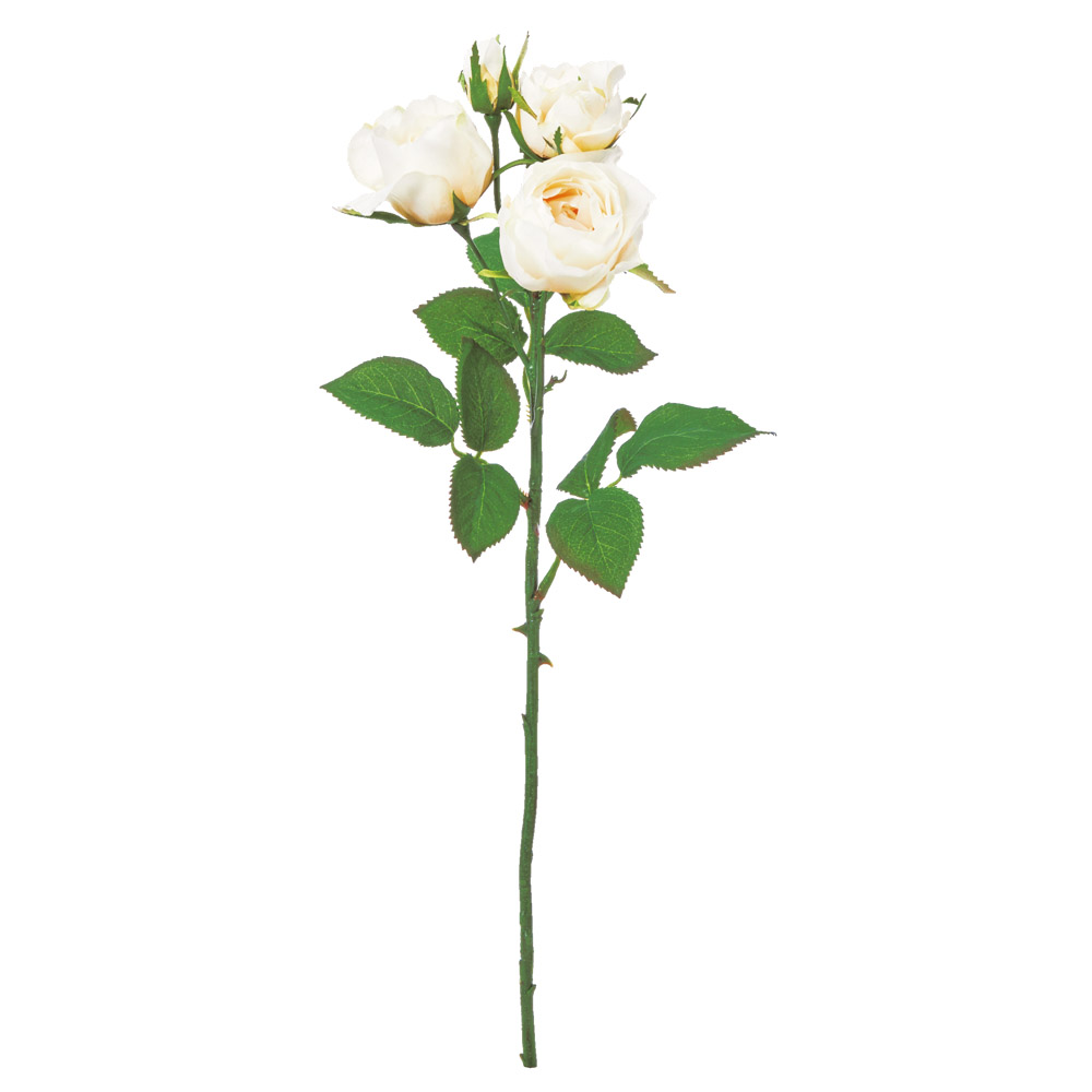 ローズ×4つぼみ×1