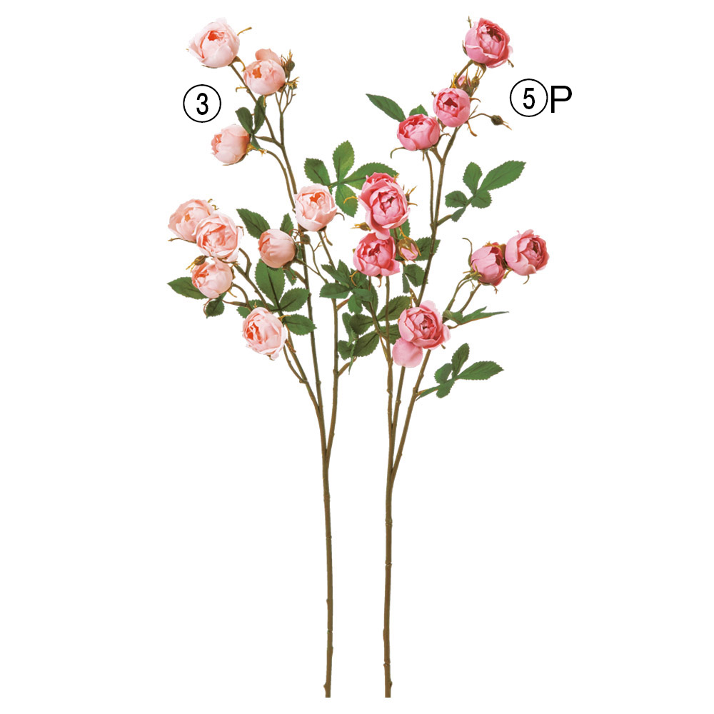 ローズ×9つぼみ×7