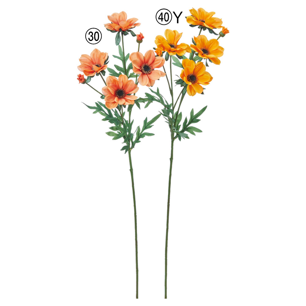 デージー×4つぼみ×2