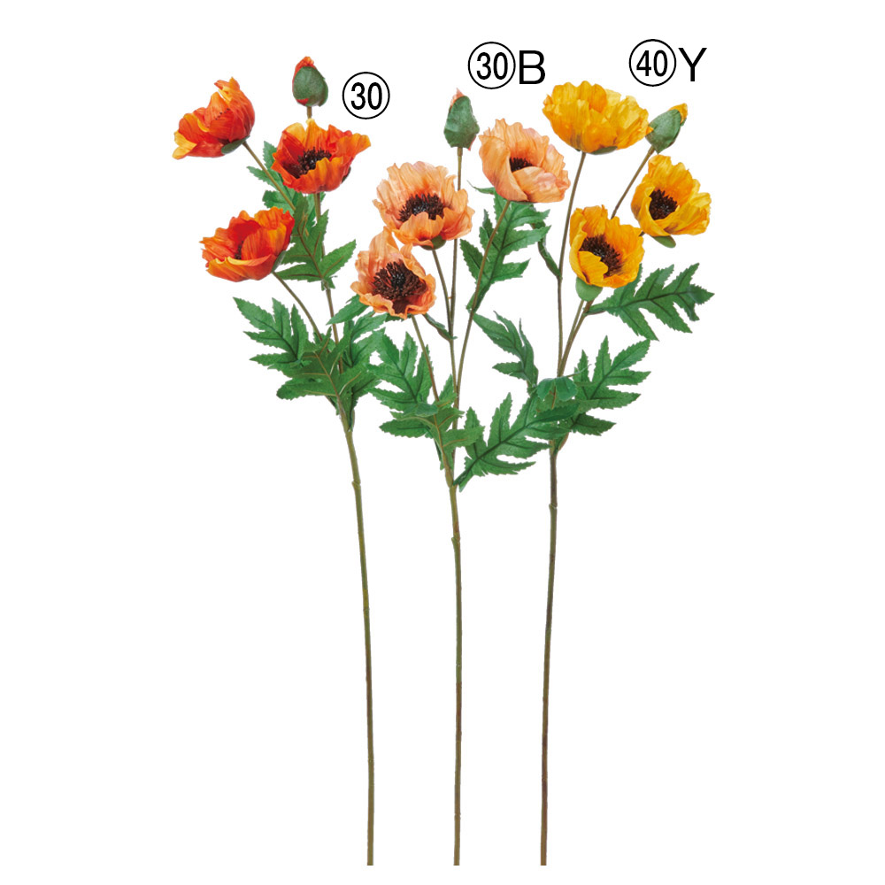 ポピー×3つぼみ×1