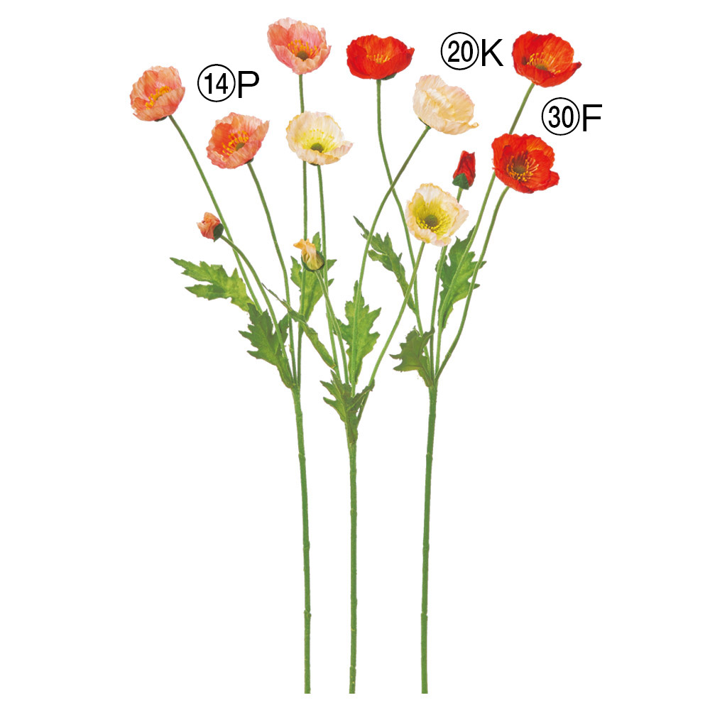 ポピー×3つぼみ×1