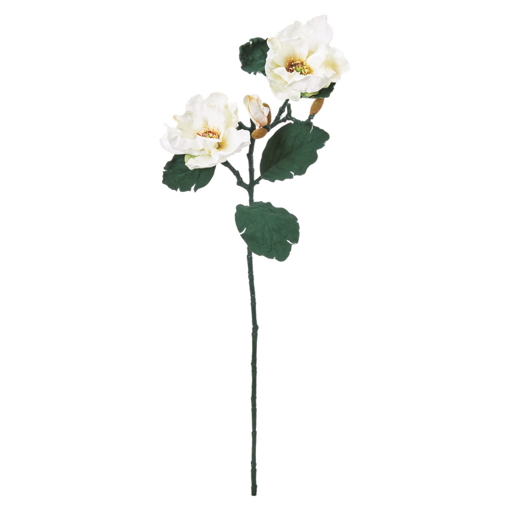 マグノリア×2つぼみ×6