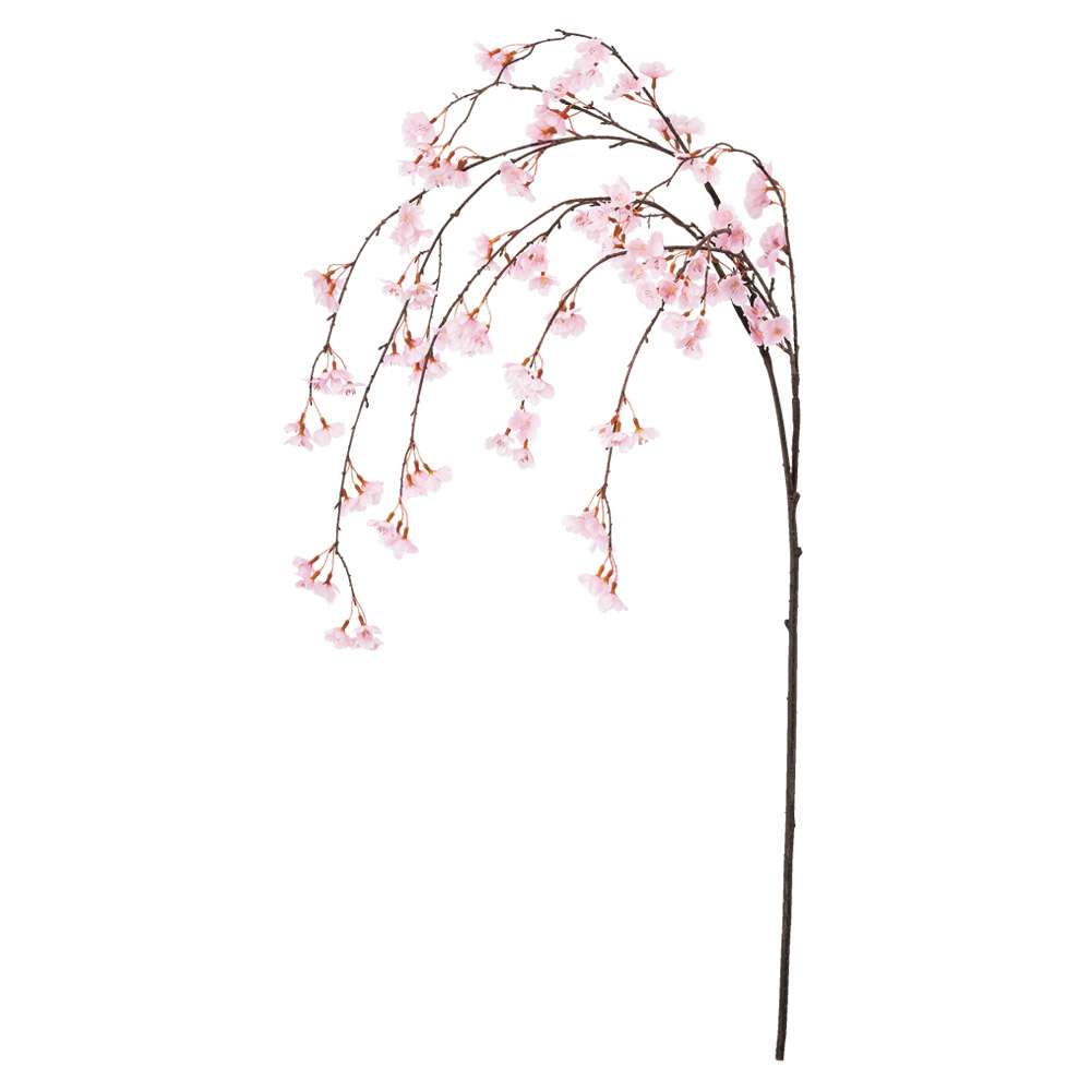 しだれ桜×144