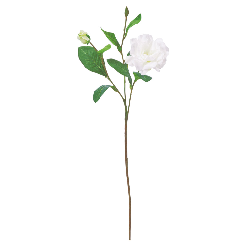 ガーデニア×1つぼみ×2