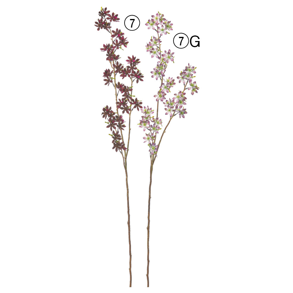 ブロッサムブランチ×52