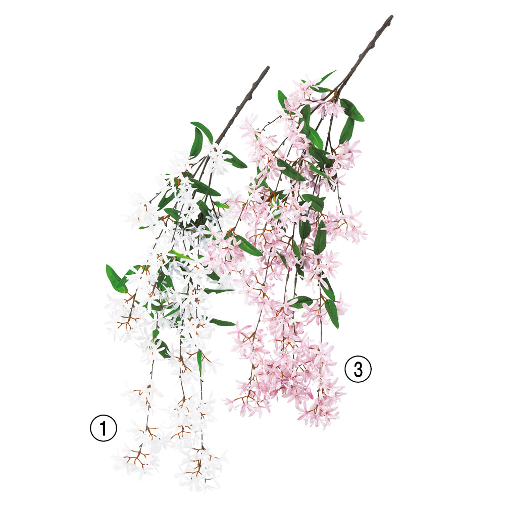 しだれ桜×38｜商品案内｜株式会社アスカ商会