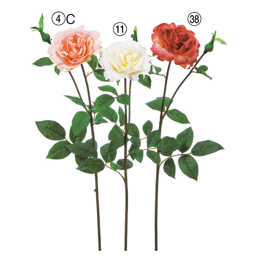 ローズ×1つぼみ×1