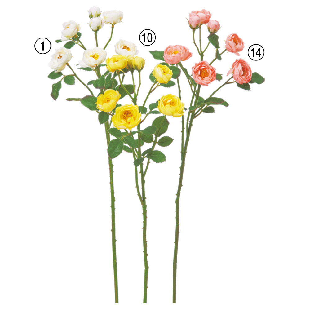 ローズ×5つぼみ×2